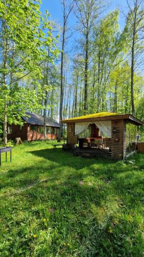 Ezera Roze Lake Cabin Sauna in Rusona