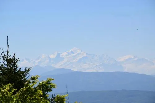 Chalet Calin - Business & Familles in Arzier, Schweiz