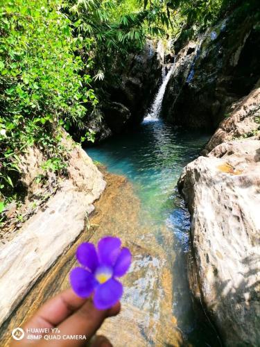 Elpitihena nature cottage Awissawella in Dehiovita