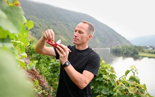 Weingut Clemens - image 13
