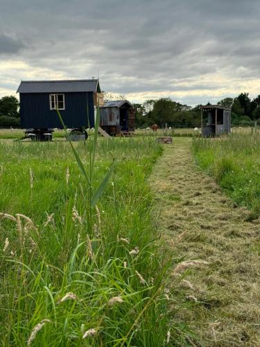 Marsh View in Beccles