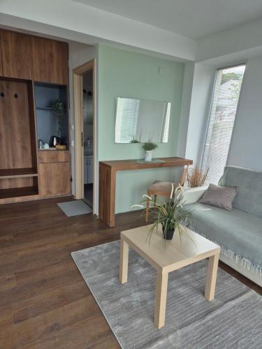 One-Bedroom Apartment with Balcony and Mountain View