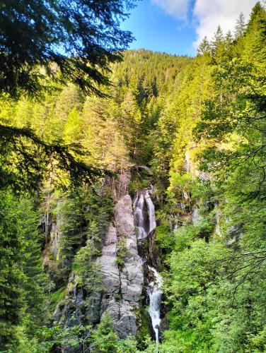 Malga Pontara in Bedollo