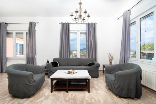 Spacious house with seaview