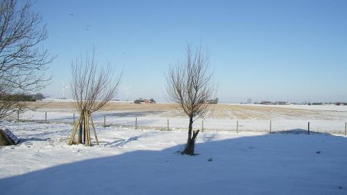 Hobykrok B&B - image 3