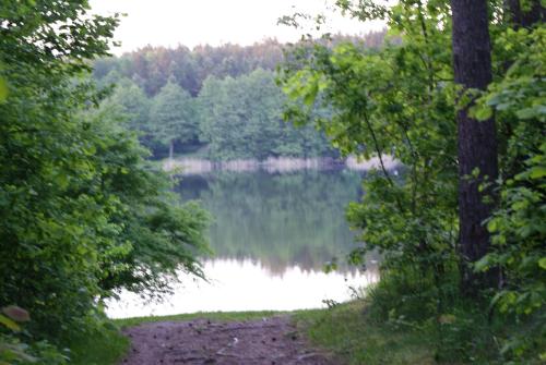 Domek Letniskowy Irena jez. Kalwa MAZURY in Krživonoga