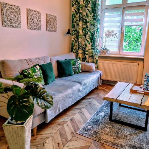 Apartament Mickiewicz - Center
