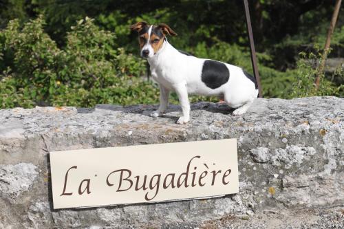 La Bugadière