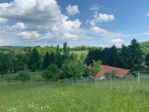 Villa Rondine Vendégház Tilaj (Villa Rondine Vendeghaz Tilaj) in Tilaj