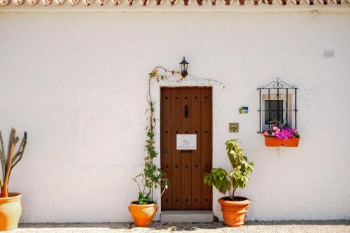 Magnolia House, Málaga (fotografie 7)