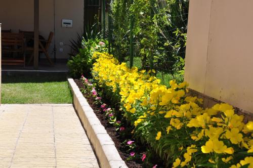 Guest House Hiora - image 4
