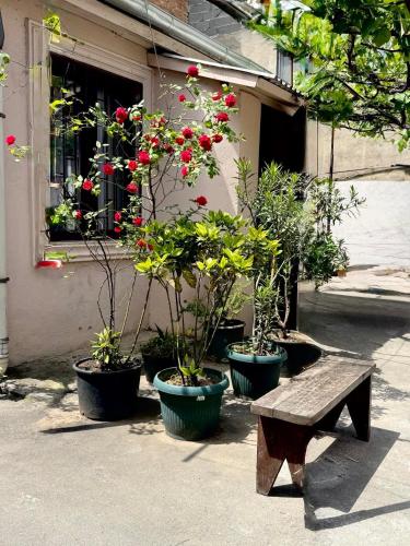 Private House , in the middle of the city, in 10 min. To Fabrika, Tbilisi (fotografie 10)