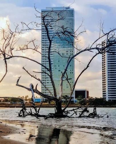 Vivance Paiva, Recife