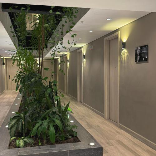 684982645 4 Sur Hotel