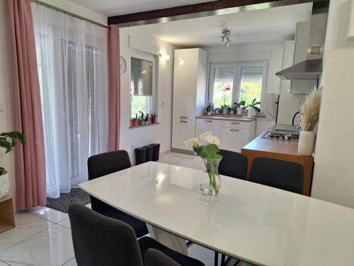 Konyha, Holiday home Laura in Rasopasno