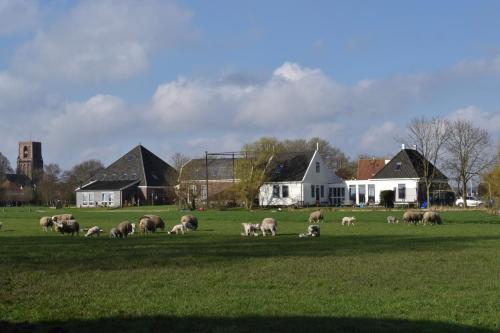 Amsterdam Farmland - image 14