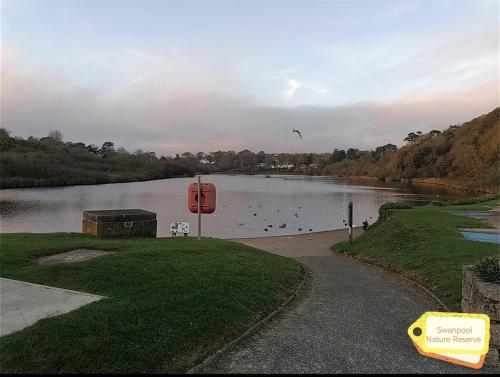 Cabin by Beach & Nature Reserve Mon & Fri Check in Days Swanpool Falmouth Cornwall, Falmouth (foto 8)