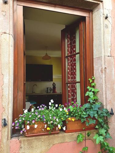 Ecologement cosy au centre de Strasbourg, Strasbourg (photo 10)