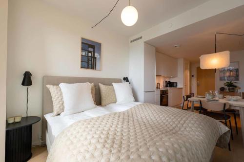 Cozy 9th Floor Apartment in Vesterbro, Kodaň (fotografie 5)