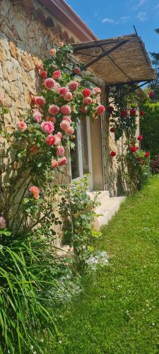 Petit gite de Provence