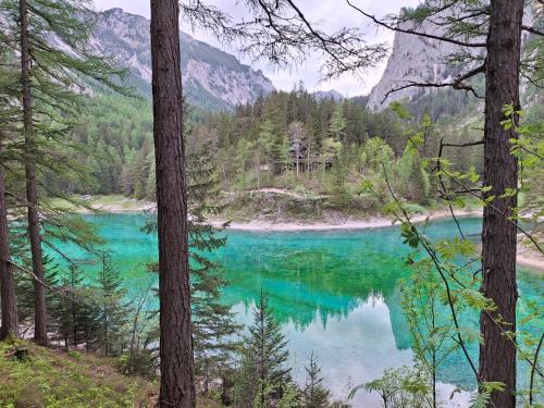Haus Bergblick am Grünen See in Oberort, Österreich