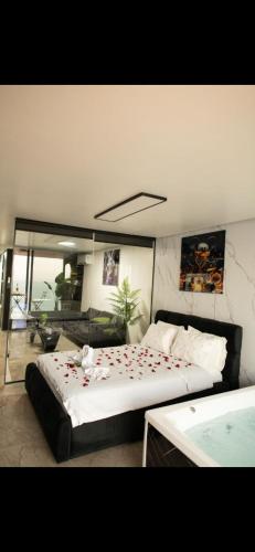 פרמיום בכינרת, Tiberias (foto 11)