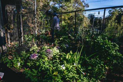 Bombah Point Eco Cottages in Bombah Point