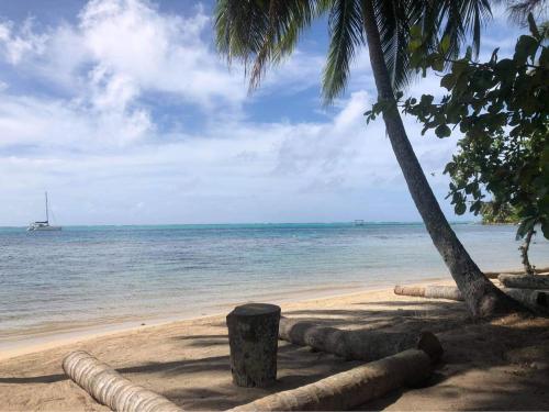 Vahihotu Location Saisonnière (Vahihotu Location Saisonniere) in มาฮาเรปา