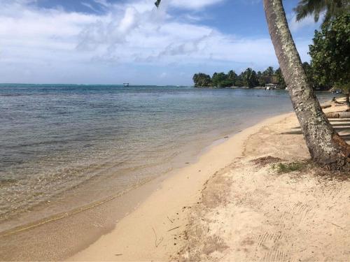 Vahihotu Location Saisonnière (Vahihotu Location Saisonniere) in มาฮาเรปา