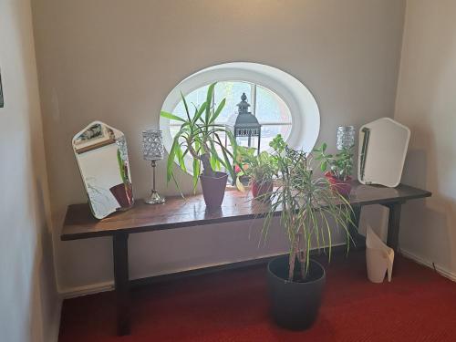 Perle Hotel, Berlino (foto 10)