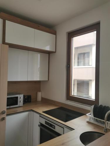 One-Bedroom Apartment image 4