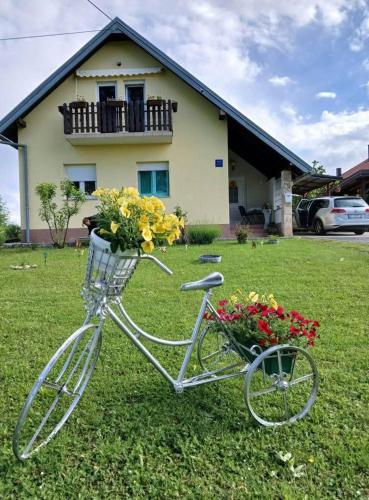 Yellow Rose, Rakovica (foto 5)