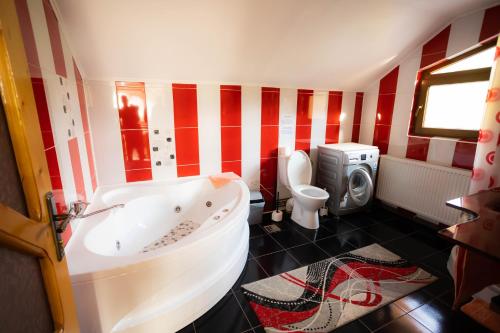 David House Piscina incalzita si jacuzzi in Vulcana De Sus