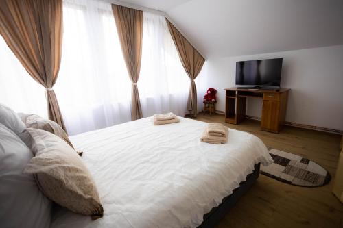 David House Piscina incalzita si jacuzzi in Vulcana De Sus