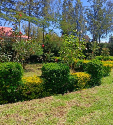 The Kioka gardens 4 bedroom home in Nanyuki