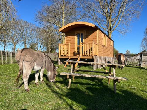 La Roulotte du Moulin de Thimougies · Quartes