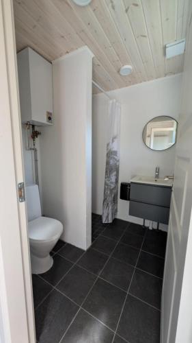 Bany, Daemningen at Gammel Rye in Ry