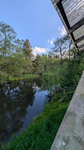 Vista, Daemningen at Gammel Rye in Ry