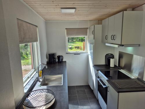 Daemningen at Gammel Rye in Ry