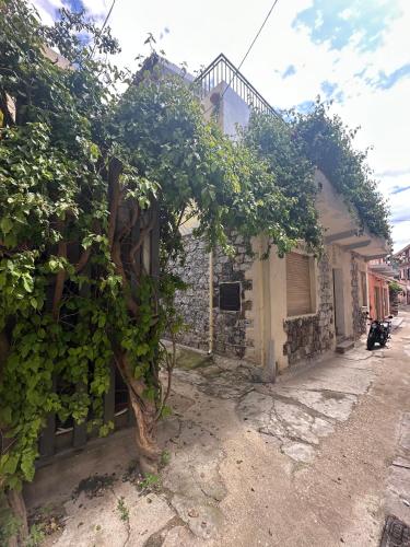 Casa Arborea 2