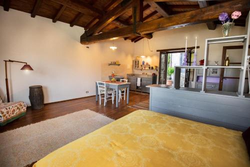 Skats, Birillina Guest House di Laura Reni in Camporgiano