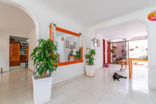 Lobby, ORESCA Hostel in Marbella