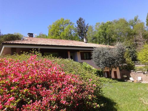 Accommodation in Mergozzo