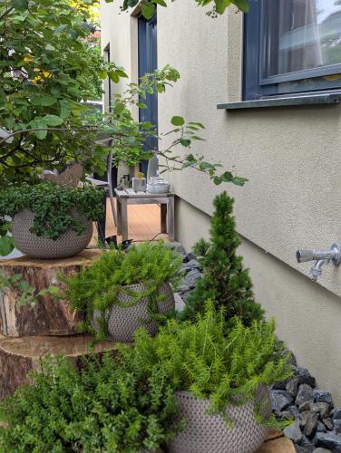Ferienwohnung Taunus in Hunstetten