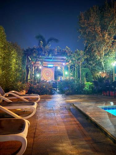 Villa Barba Luxor - image 9