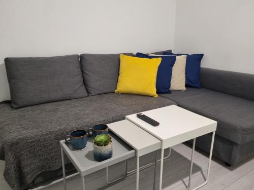 Wembley Stadium and OVO Arena Apartment, Londra (foto 2)