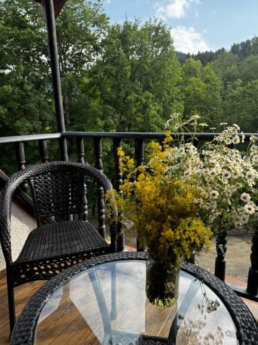 Hotel Iveria in Abastumani