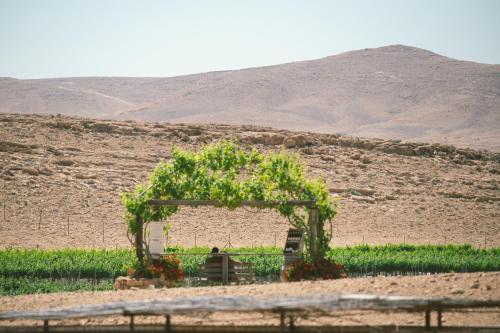 הפטריוטית-יקב ננה, Micpe Ramon (fotografie 8)