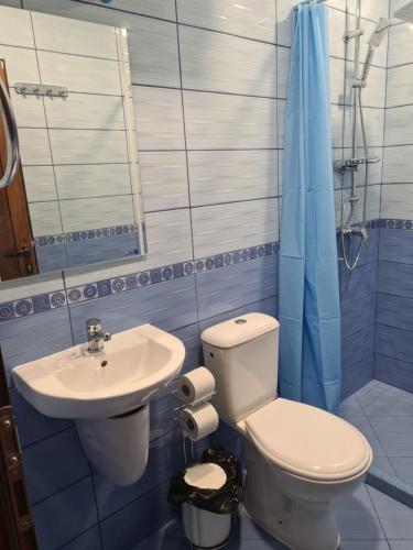 Квартири ЦЕНТРАЛ, Dolna Mitropoliya (foto 9)