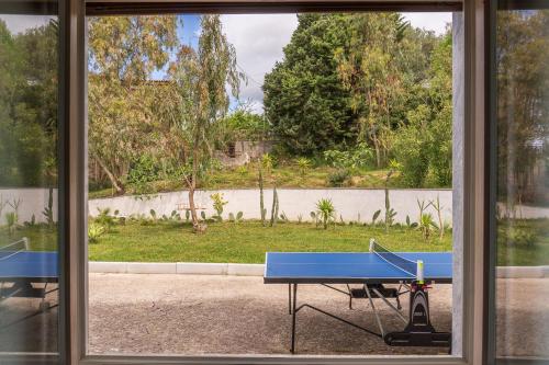Dārzs, Villa Olimpia Guest House in Prignano Cilento